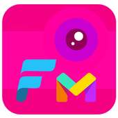 Flipa mini