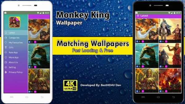 Monkey King Wallpaper screenshot 2
