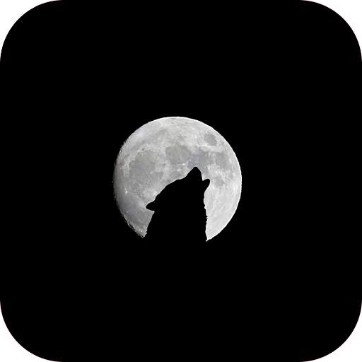 HD Black Wallpapers 1.3