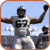 Bitzplays for madens 17 icon
