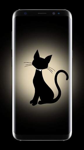 4K Black Kitty Wallpaper screenshot 5