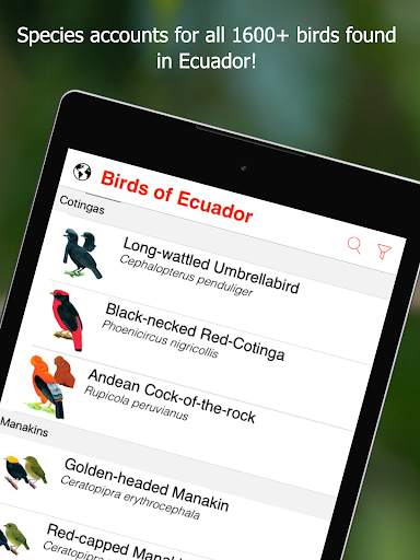 Birds of Ecuador screenshot 16