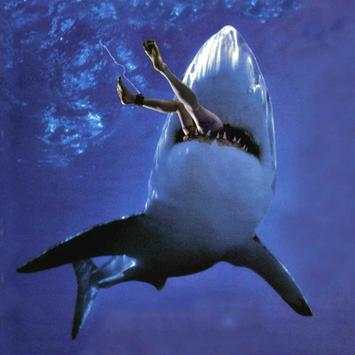 Angry Shark Mermaid Run screenshot 3