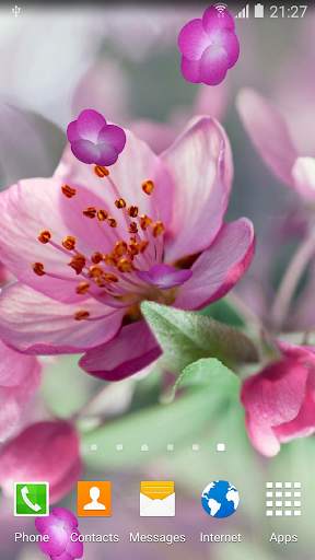 Cherry Blossom Live Wallpaper screenshot 1