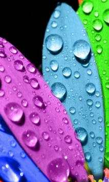 3D Wallpapers screenshot 6