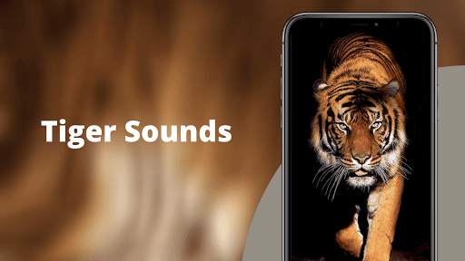 Tiger Sounds screenshot 3