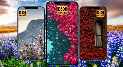 🔥most popular wallpaper  10000 wallpapers🔥 screenshot 3