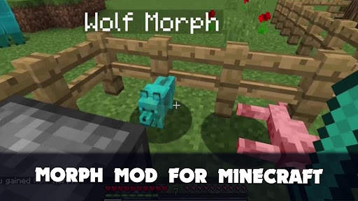 Morph Mod for Minecraft PE screenshot 2