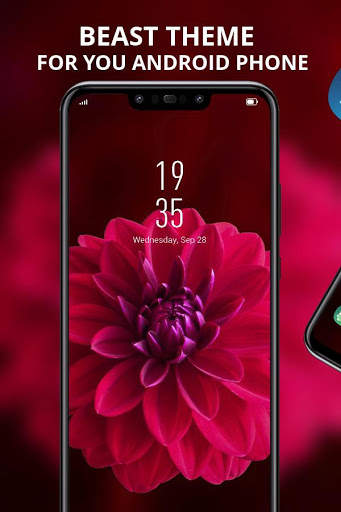 Red Flower Blossom Beautiful theme for REDMI Y2 screenshot 1