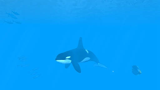 VR Ocean Aquarium 3D screenshot 2