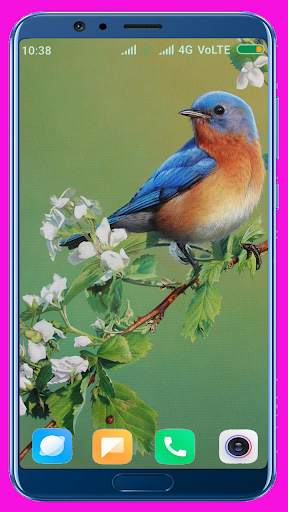 Bird Wallpaper Best 4K स्क्रीनशॉट 8