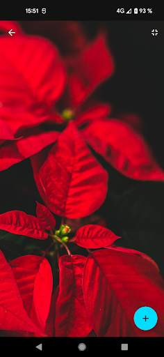 Wallpaper 4k screenshot 3