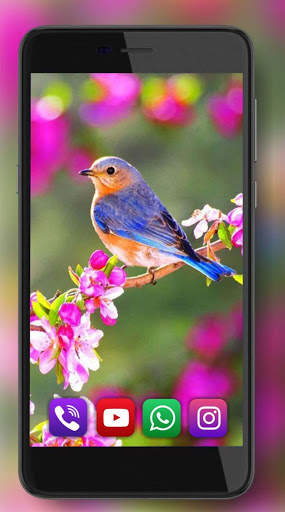 Birds Amazing Live Wallpaper screenshot 1