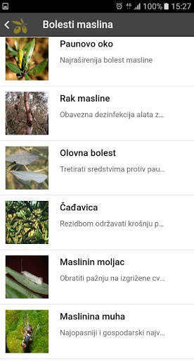 Extra Vergine screenshot 6