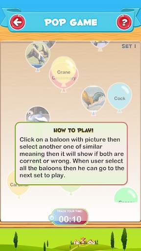 Learn the Birds screenshot 6