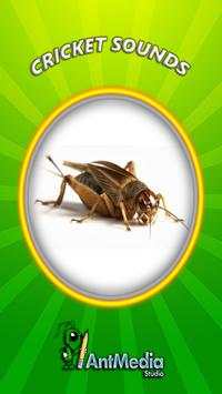 Cricket Sounds screenshot 1