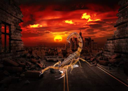 Scorpion Photo Editor screenshot 1