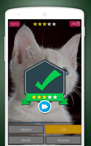 Scratch Game: Animals Quiz screenshot 7