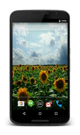 Sunflowers 3D Live Wallpaper screenshot 2