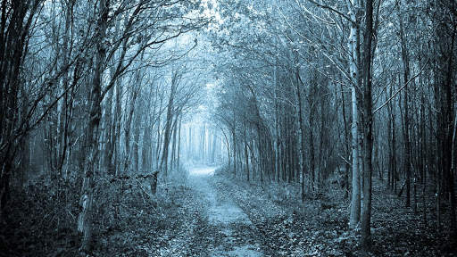 Mystic Night Live Wallpaper : 7fon & LWP screenshot 7