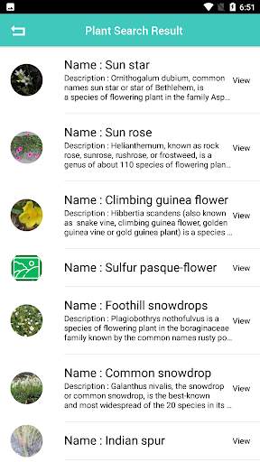 Plant Identification - Plant, Leaf, Flower 5 تصوير الشاشة