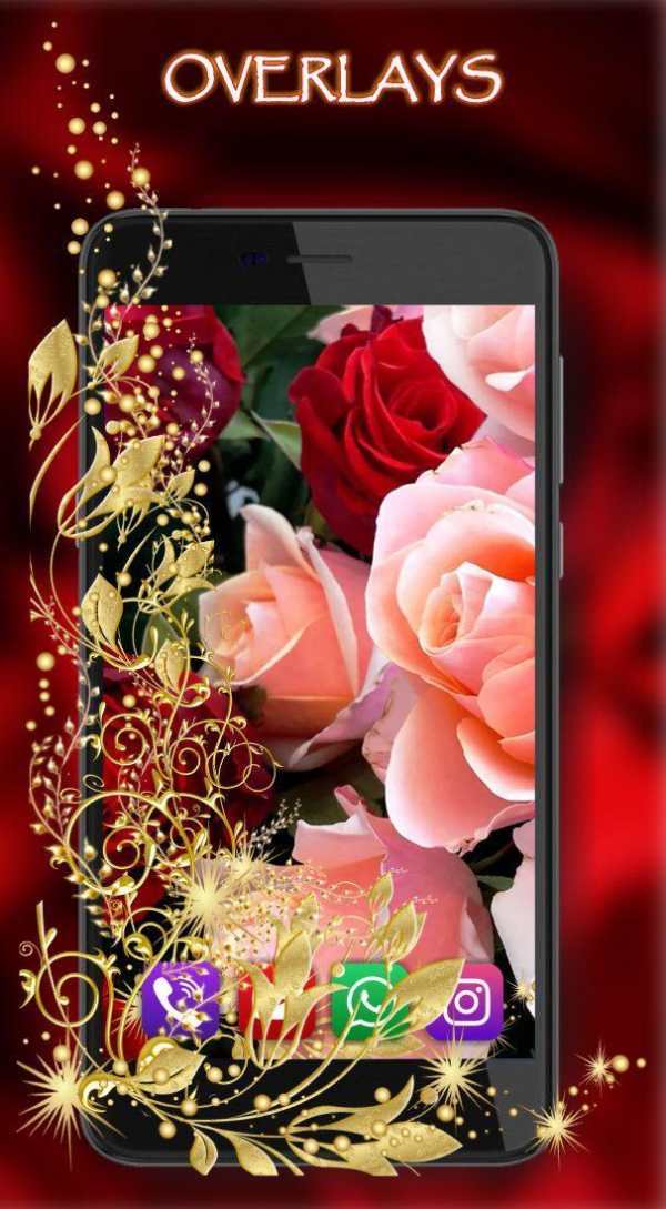Roses Love Best LWP screenshot 2
