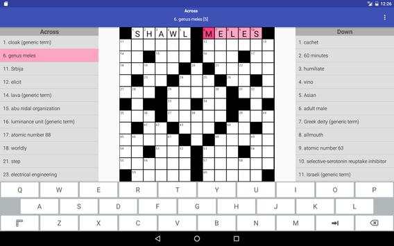 Daily Crossword screenshot 6