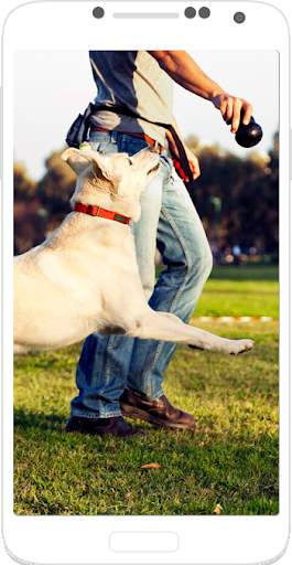 Dog Training - Train your Dog screenshot 2