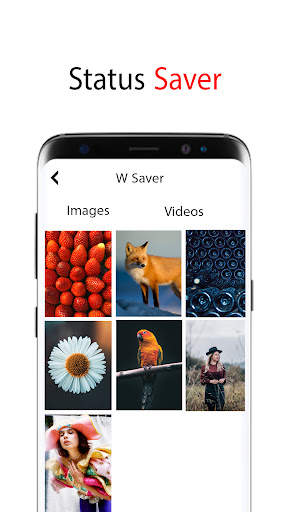 All Video Downloader screenshot 2