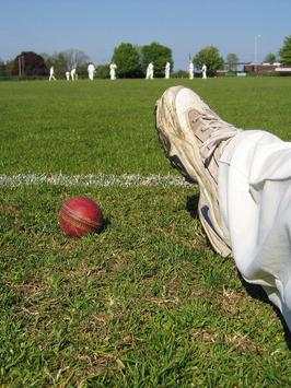 Cricket Wallpapers HD screenshot 2