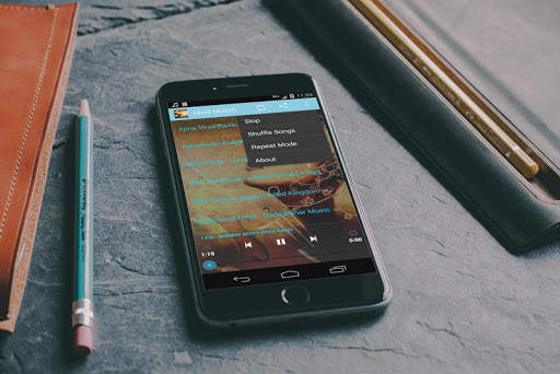 Hindi MUSIC screenshot 2