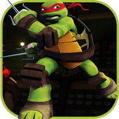ninja streets turtle icon