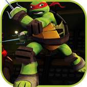 ninja streets turtle