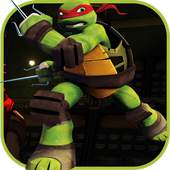 ninja streets turtle PL.3.3.4