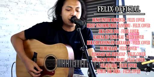 Felix Cover Akustik - Offline screenshot 1
