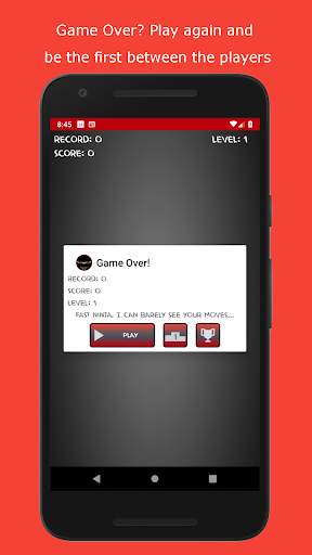 Fast Ninja screenshot 3