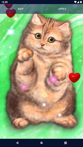 Cute Fluffy Cat Live Wallpaper screenshot 7