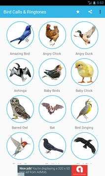 Bird Sounds & Ringtones screenshot 3