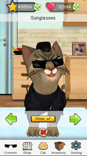 마쵸 고양이 :애완 고양이 시뮬레이터 screenshot 7