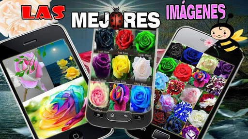 Rosas screenshot 2