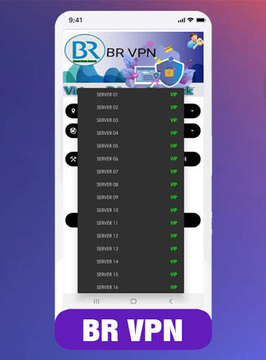 BR VPN screenshot 1