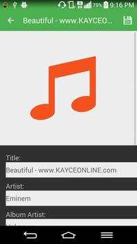 WinMusic Player screenshot 14