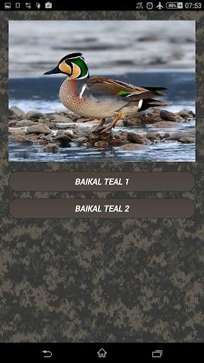 Duck hunting calls screenshot 3