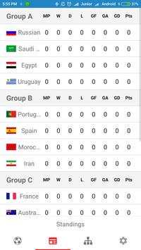 FIFA World Cup 2018 screenshot 3