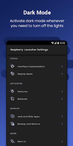 Raspberry Launcher screenshot 3