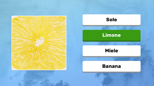 Zoom Quiz: Gioco D'immagini screenshot 7