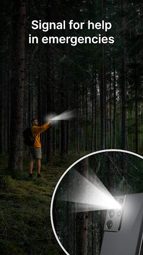 Flashlight Home Launcher screenshot 5