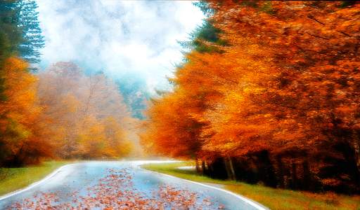 Autumn Wallpaper HD : backgrounds & themes screenshot 10