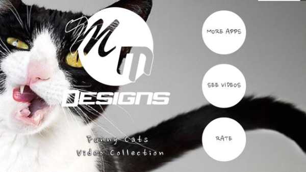 Funny Cats Video Collection screenshot 1