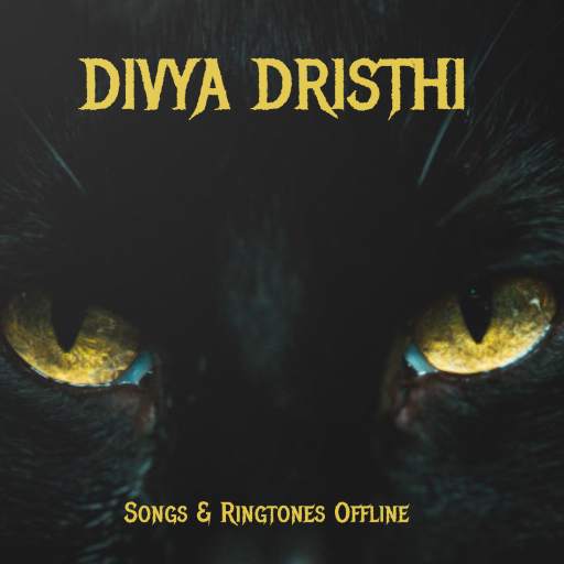 Divya Drishti Songs and Ringtones Offline 1.0